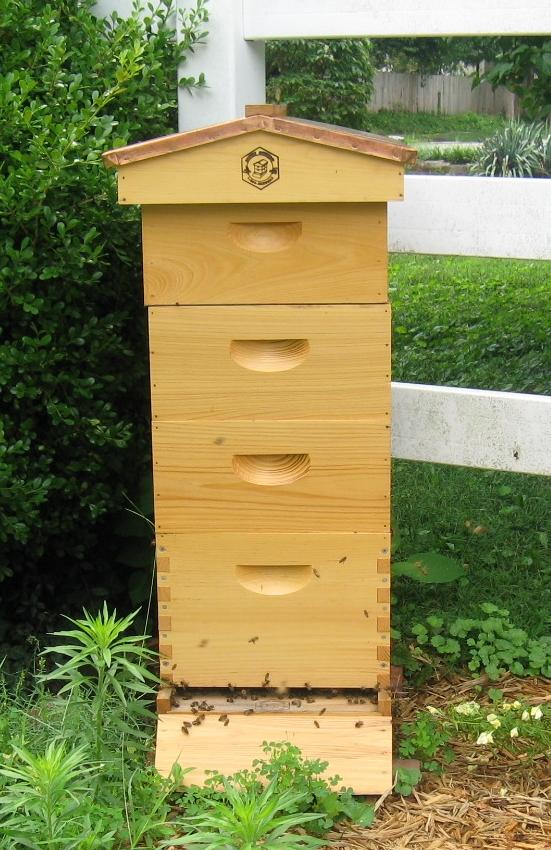 8 Frame Langstroth Bee Hive